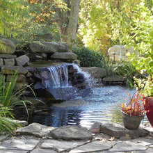 Koi Ponds