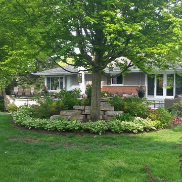 sycamore mulch-less conversion