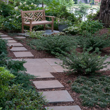 Shade Garden