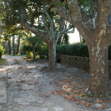 MAS EN PROVENCE.
