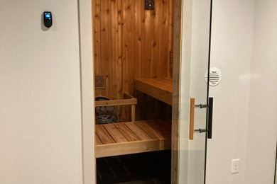 Inspiration for a modern home design remodel in Other