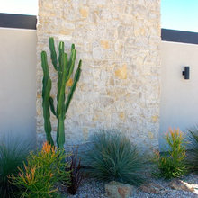 Desert Patio Designs