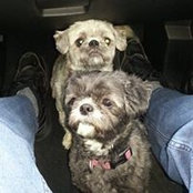 Ted Heissner's photo
