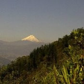 Pablo Albornoz's photo