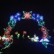 Sara Meyerhofer's photo