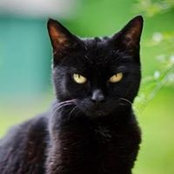 Foto von Polly Nana