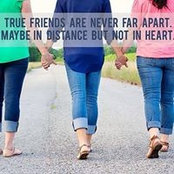 Deena Lamb's photo