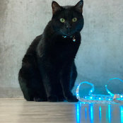Sarah Browning's photo