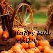 Denise Dooley's photo