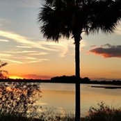 Dale Wright's photo