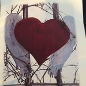 Jodi Skove Schniderさんの写真