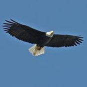 Trula Bachman's photo