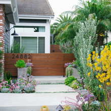 Landscape Ideas