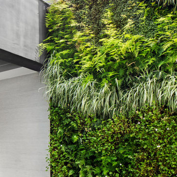 Marcheeta Residence