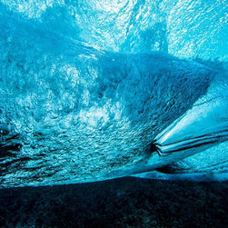 Fingers in the Blue by Joel Coleman - Photographs