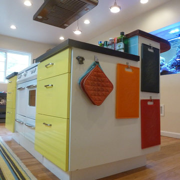 Mid century Retro kitchen & Great Room in San Mateo
