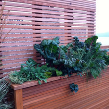 New Balcony Ideas