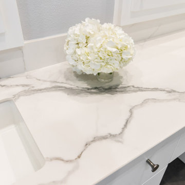 Luxurious Master Bathroom Vanity