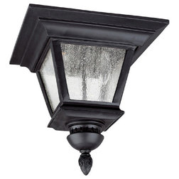 Traditional Outdoor Flush-mount Ceiling Lighting by Buildcom