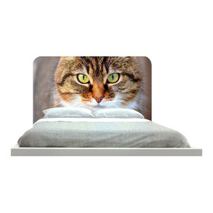 cat headboard