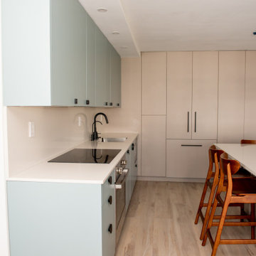 Contemporary Kitchen Remodel