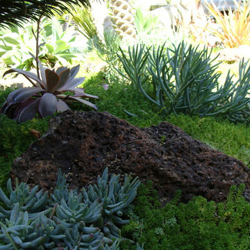 San Juan Capistrano 2012