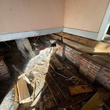 Termite Damage Is at it Again