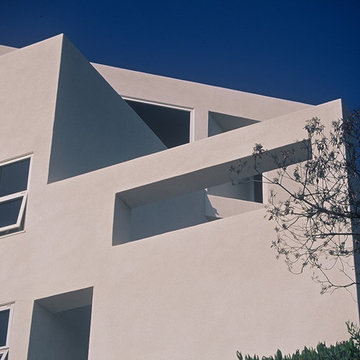 Single Family Contemporary Homes