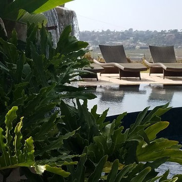Luxury Landscape