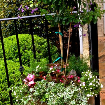 Spring Container Planting