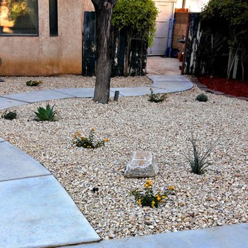 Water Wise Transformation