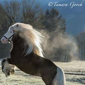 Aviva Seltzer's photo