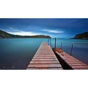 Testt Eventt's photo