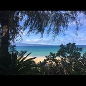 Rosemary Muchoney's photo