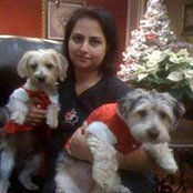 Anil-Rovina Singh's photo