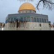 Foto von Wafa Wadi