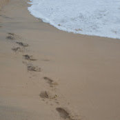 Jodi Byerly's photo