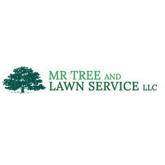 Mr Tree and Lawn Service
