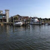 Justin Holley's photo
