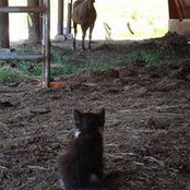 Angela Brown's photo