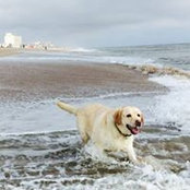 Mike Behringer's photo