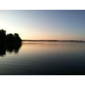 Enid Andreasen's photo