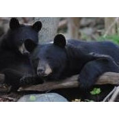 Jennifer Mirmelstein's photo