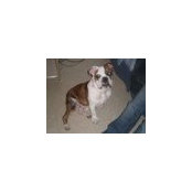 Michael Marshall's photo