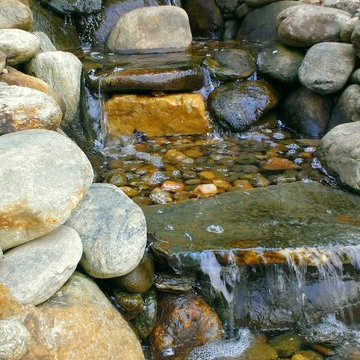 Ponds & Streams