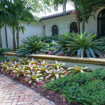 Tropical Estate Landscape