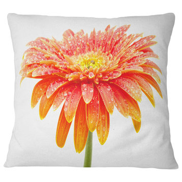 Large Orange Gerbera on White Floral Throw Pillow, 18"x18"