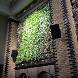Omni Living Wall - Products