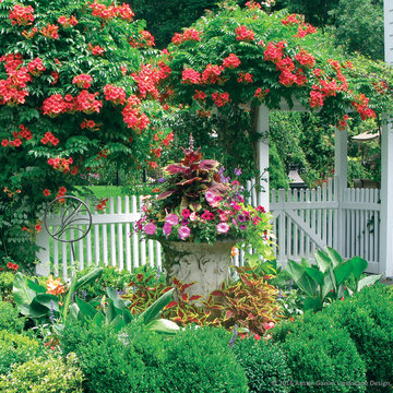 Planter & Container Garden Design - Fairfield County, CT