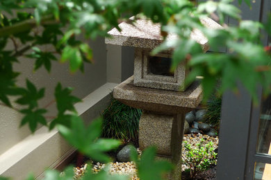 Small modern courtyard shaded garden in Sydney.
